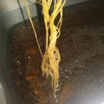 20170806_171947.jpg