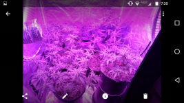 Screenshot_20170811-073518.png