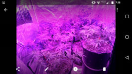 Screenshot_20170811-073802.png
