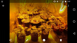 Screenshot_20170811-073758.png