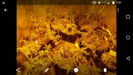 Screenshot_20170811-073753.png