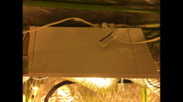 Click image for larger version  Name:	IMG_0469.PNG Views:	1 Size:	736.6 KB ID:	124333