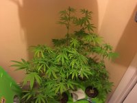 photo26962.jpg
