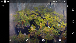 Screenshot_20170815-071315.png
