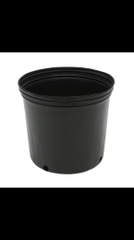 photo27225.png