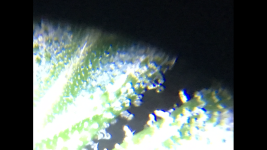 photo27242.png