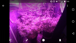 Screenshot_20170822-070142.png