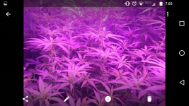 Screenshot_20170822-070224.png