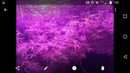 Screenshot_20170822-070228.png