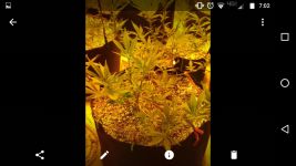 Screenshot_20170822-070247.png