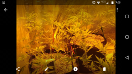 Screenshot_20170822-070502.png