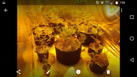 Screenshot_20170822-070514.png