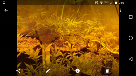Screenshot_20170822-070506.png