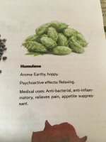 photo27536.jpg