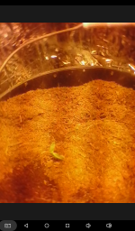 photo27543.png