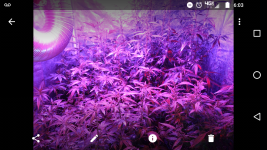 Screenshot_20170903-060323.png