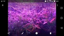Screenshot_20170903-060328.png