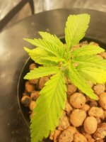 photo28403.jpg