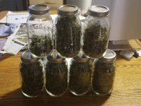 Bag seed and Seriously Happy harvest.jpg