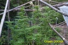 photo28734.jpg