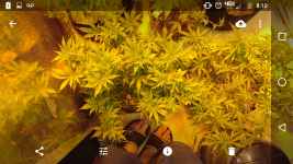 Screenshot_20171003-201026.png