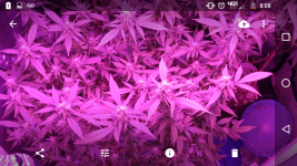 Screenshot_20171003-200847.png
