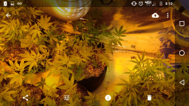 Screenshot_20171003-201033.png