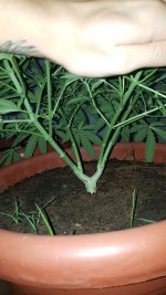 photo29103.jpg