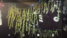 Screenshot_20171014-213555.png
