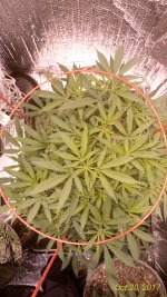 P_20171020_140605_HDR_p.jpg