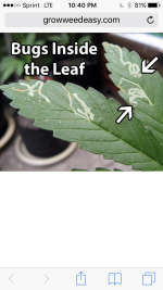 photo30239.png