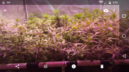 Screenshot_20171026-182203.png