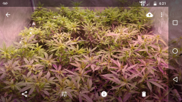 Screenshot_20171026-182156.png