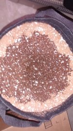IMG_20171106_104646587.jpg