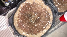 IMG_20171106_110328198.jpg