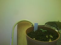2017-11-06-173343.jpg
