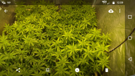 Screenshot_20171109-125934.png