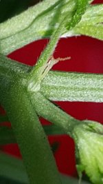 20171109_173715.jpg