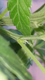 20171109_173807.jpg