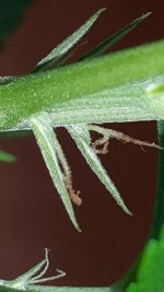 20171109_173632.jpg
