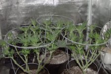photo3410.jpg