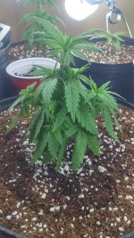 photo3445.jpg