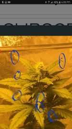 Screenshot_2016-11-25-16-06-21.jpg