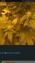Screenshot_2016-11-25-16-06-49.jpg