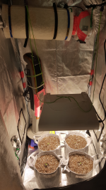 Screenshot_20161203-163820.png