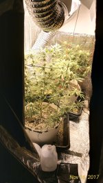 P_20171116_104207_HDR_p.jpg
