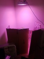 photo32497.jpg