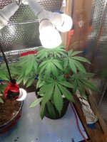 photo32557.jpg