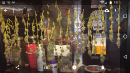 Screenshot_20171127-070239.png