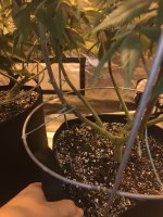 photo32882.jpg
